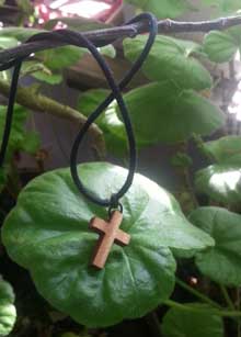 cross necklace on leaves photo